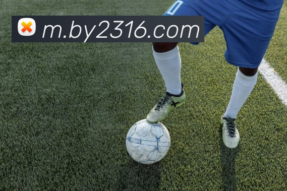 必赢官网体育APP 高清赛事图